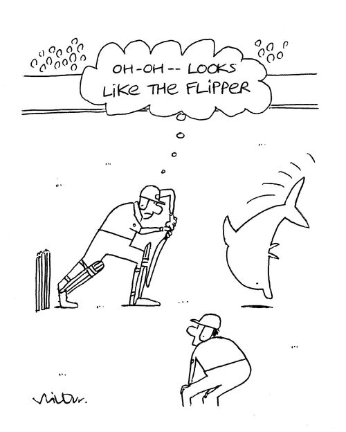 'Oh - Oh, looks like the flipper.'