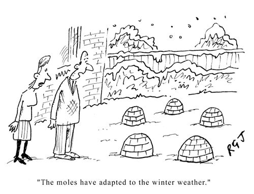 The moles have adapted to the winter weather.