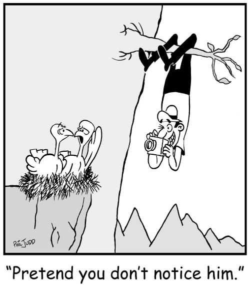 'Pretend you don't notice him.'