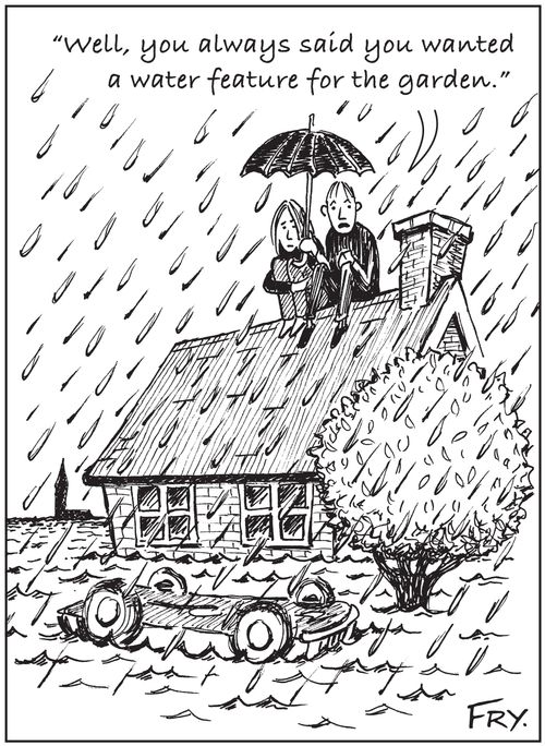 'Well, you always said you wanted a water feature for the garden.'