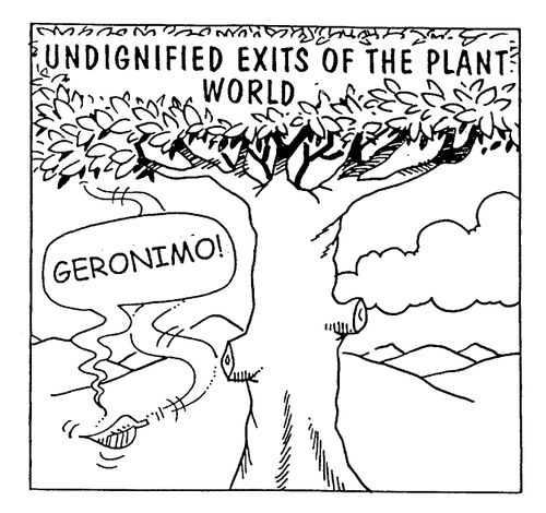 Undignified Exits of the Plant World
