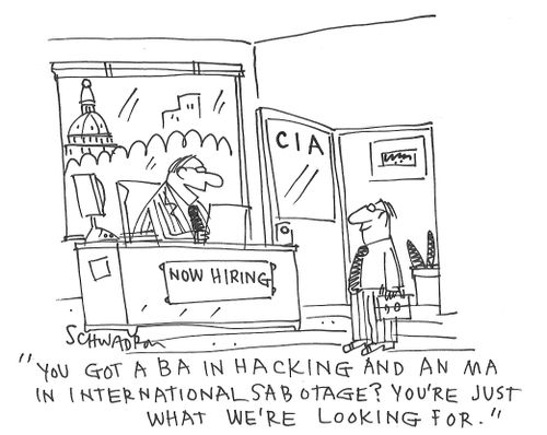 "You got BA in hacking and an MA in international sabotage? You're just what we're looking for."