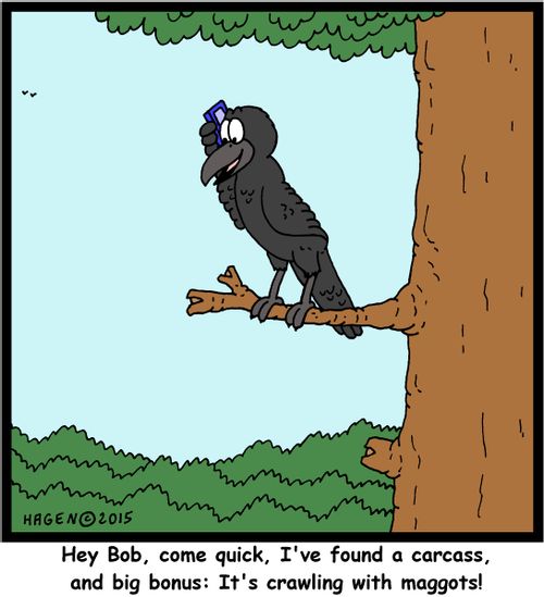 "Hey Bob, come quick, I've found a carcass, and big bonus: It's crawling with maggots!"