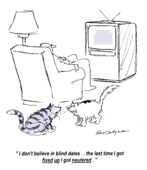 'I don't believe in blind dates... the last time I got fixed up I got neutered.'