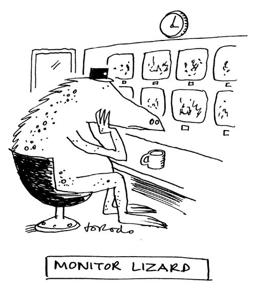 Monitor Lizard.