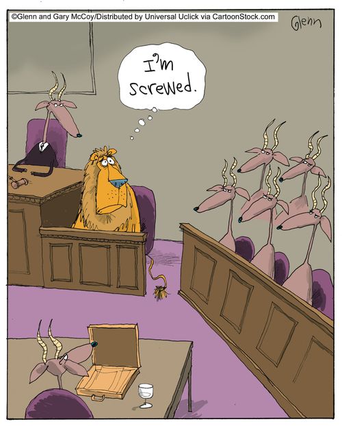 'I'm screwed.'