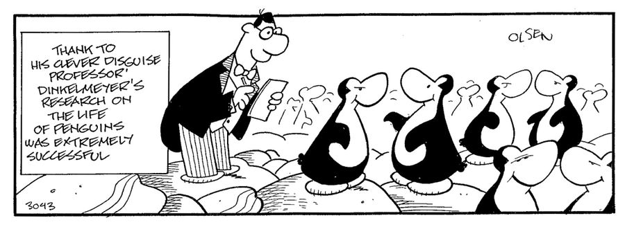 The life of penguins.
