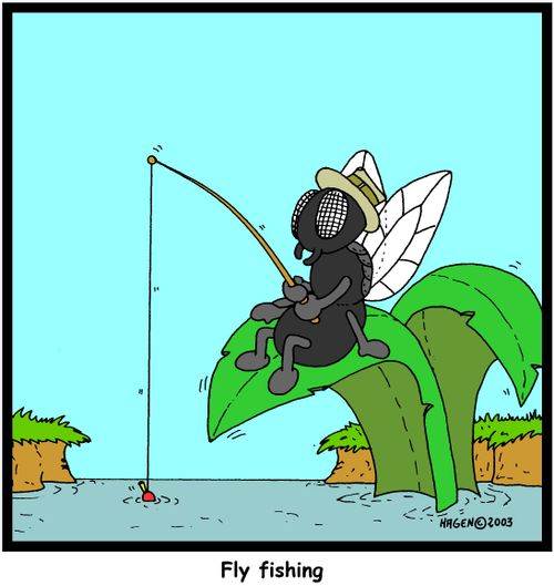 Fly fishing (colour)