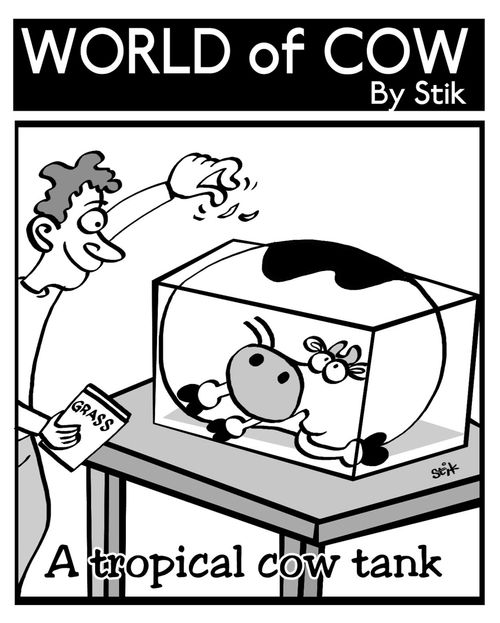 Tropical Cow Tank
