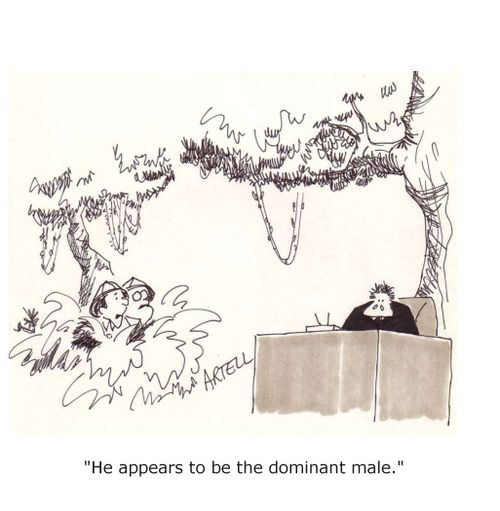 'He appears to be the dominant male.'  