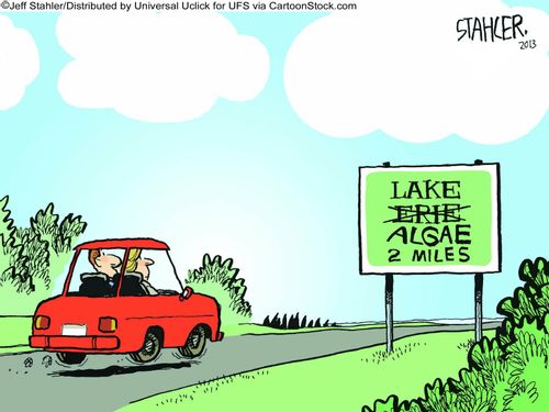 Lake Algae 2 Miles