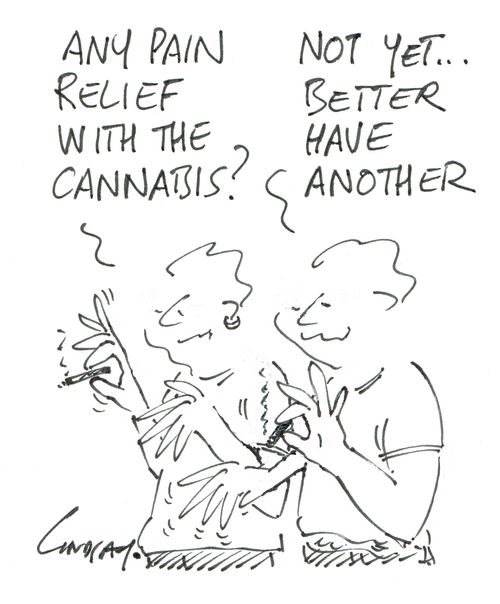 "Any pain relief with the cannabis?"