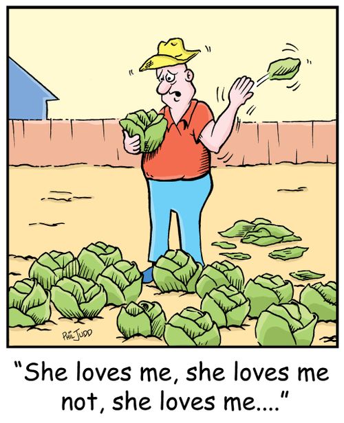 'She loves me, she loves me not, she loves me...'