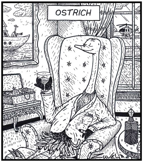 Ostrich.