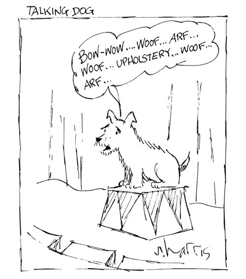 Talking Dog.