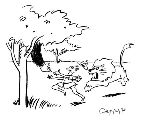 Explorer chased by lion finds gorilla offers a helping hand.