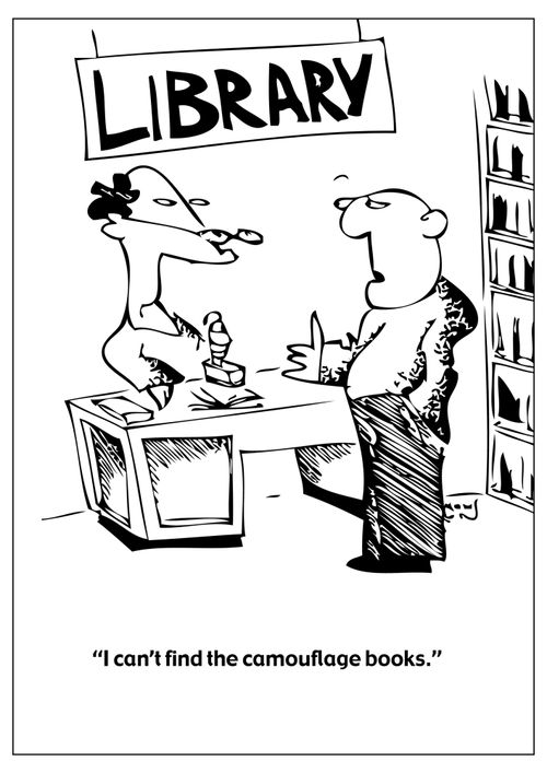 "I can't find the camouflage books."