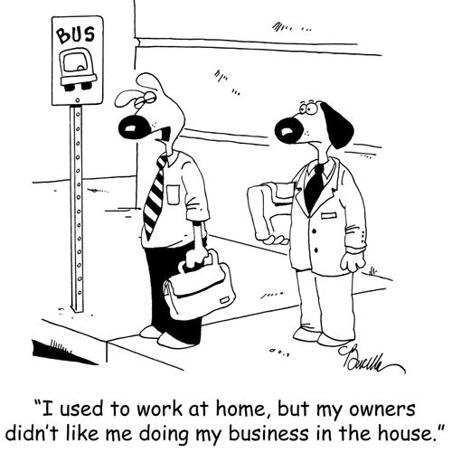 'I used to work at home, but my owners didn't like me doing my business in the house.'