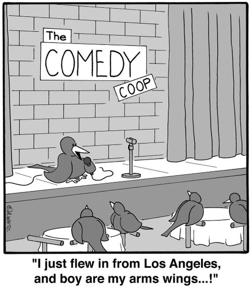 'I just flew in from Los Angeles, and boy are my arms wings...!'