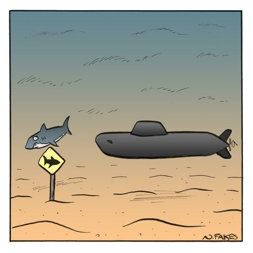 Shark Crossing