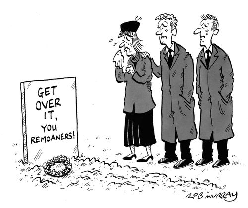 Get Over It, You Remoaners!