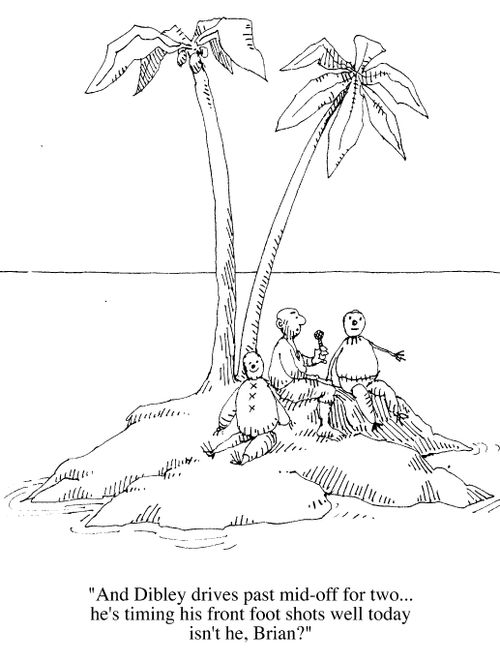 Cricket supporter on a desert island with puppets