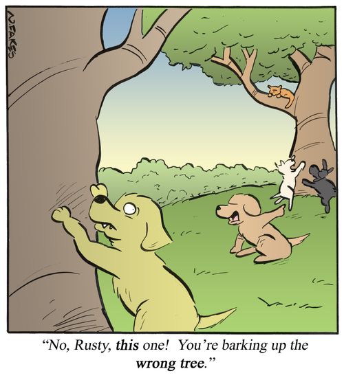 'No, Rusty, this one!  You're barking up the wrong tree.'