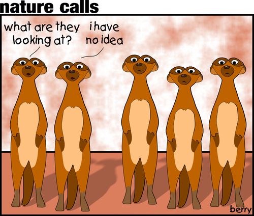 "What are they looking at?"