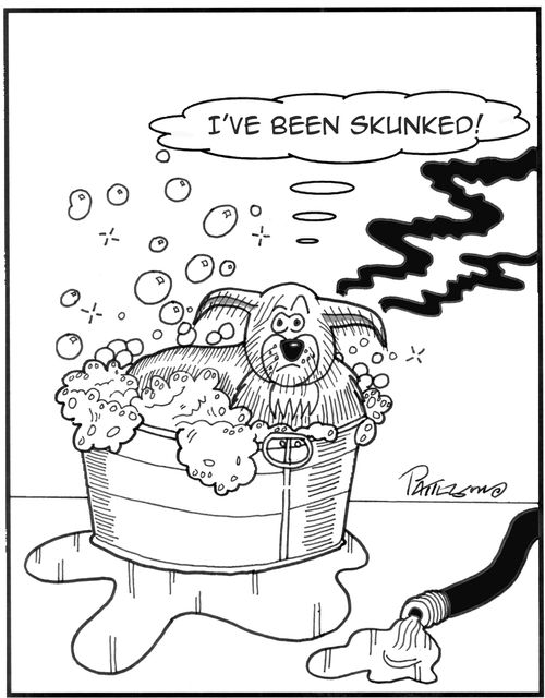 Dog bath