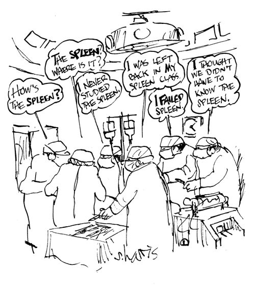 'How's the spleen?' 'The spleen?  Where is it?' 'I never studied the spleen.' 'I was left back in my spleen class.' 'I failed spleen.' 'I thought we didn't have to know the spleen.'