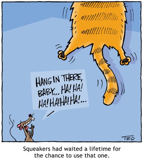 'Hang in there, baby!'