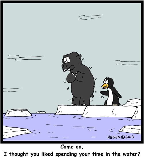 'Come on, I thought you liked spending your time in the water?
