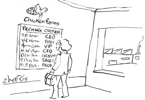 'Chicken Farms - Pecking Order'