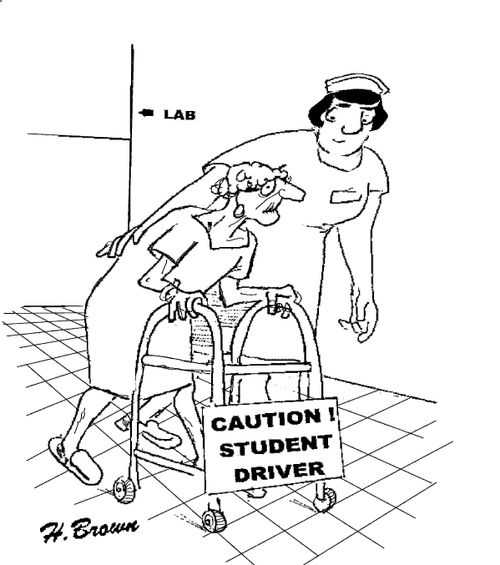 Caution Student Driver.