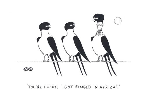 'You're lucky. I got ringed in Africa !' 