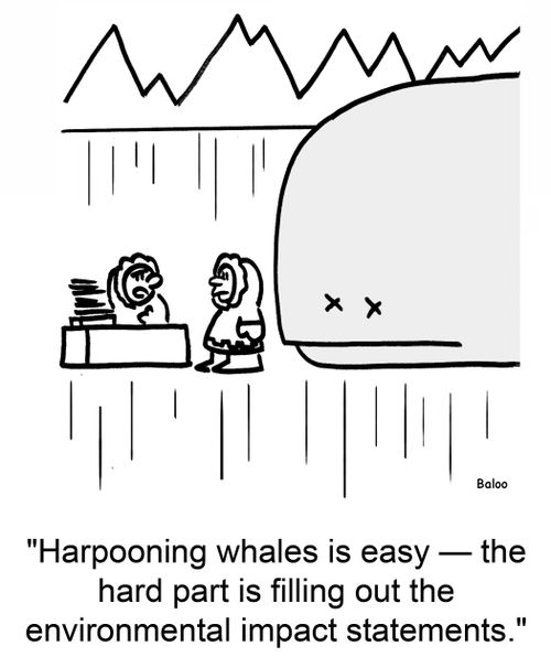 'Harpooning whales is easy -- the hard part is filling out the environmental impact statements.'