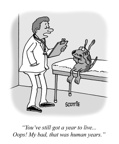 "You've still got a year to live... Oops! My bad, that was human years."