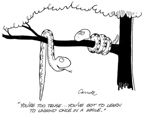 "You're too tense...You've got to learn to unwind once in a while"