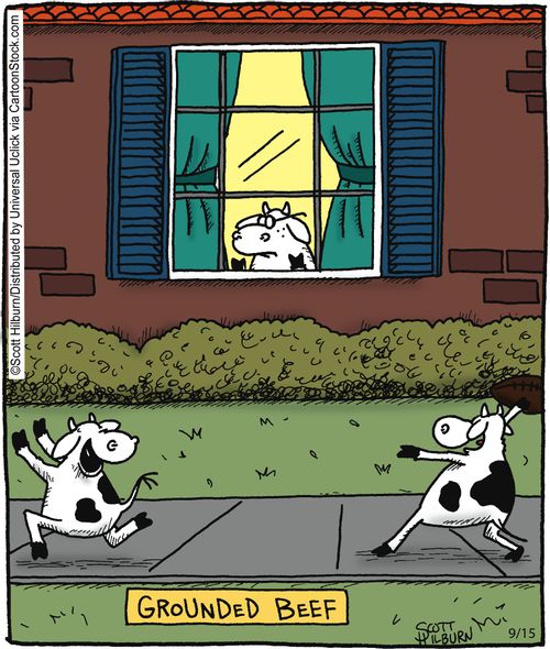 Grounded beef.