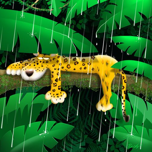 A leopard in the Rainforest.