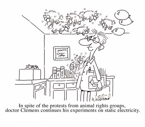 In spite of the protests from animal rights groups, doctor Clemens continues his experiments on static electricity.