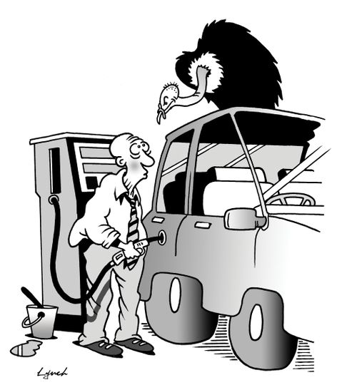 Vulture oil inc.