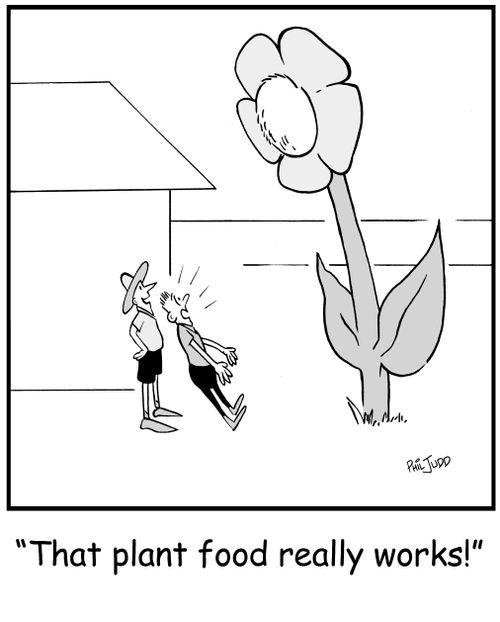 'That plant food really works!'
