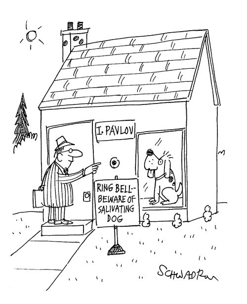 Beware of Salivating Dog