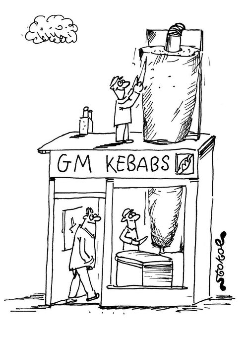 GM Kebabs
