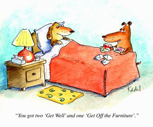 'You got two 'Get Well' and one 'Get Off the Furniture'.'