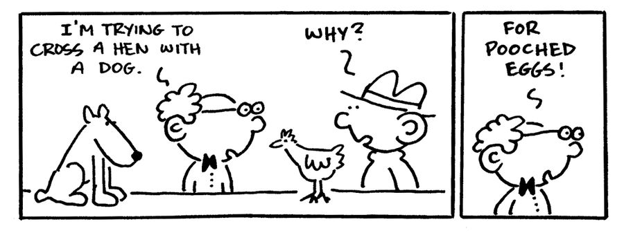 "I'm trying to cross a hen with a dog. . .For pooched eggs."