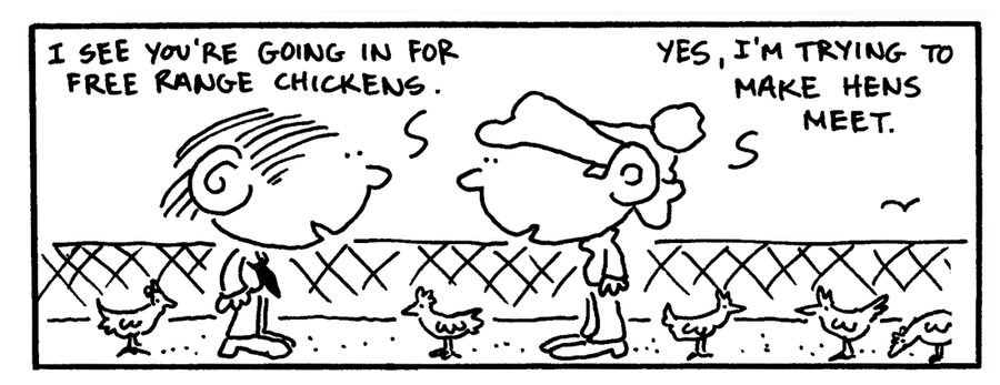 "I see you're going in for free range chickens."
