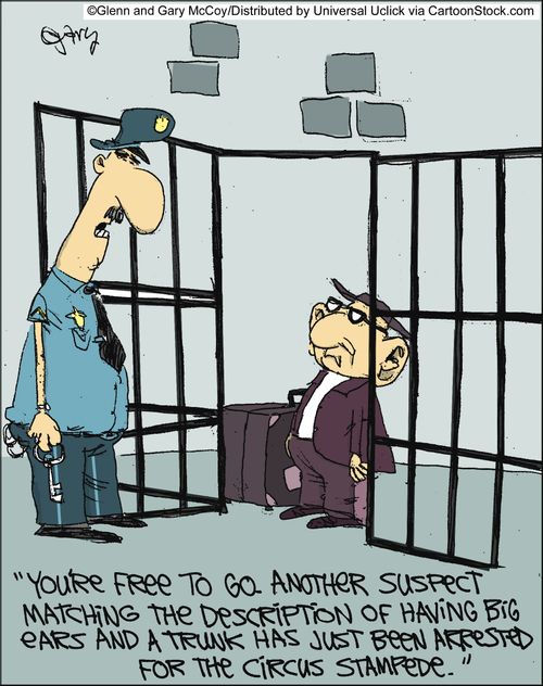 'You're free to go. Another suspect matching the description of having big ears and a trunk has just been arrested for the circus stampede.'