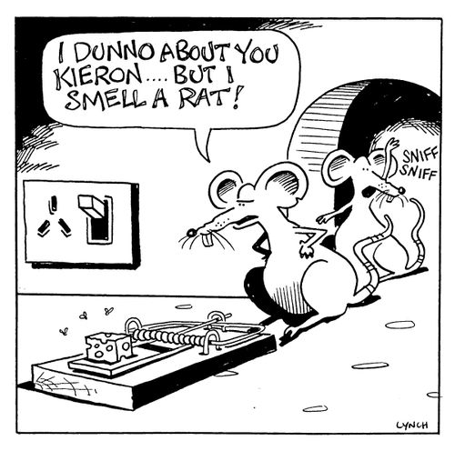 ...But I smell a rat!
